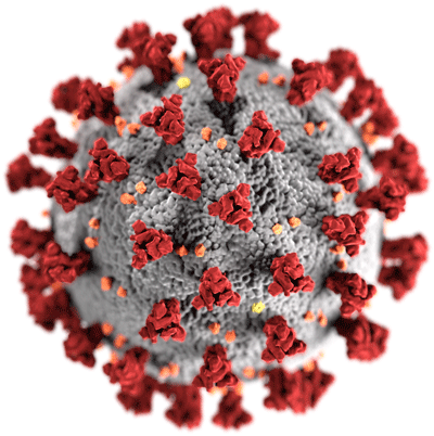 The SARS CoV-2 coronavirus causes COVID-19 disease.